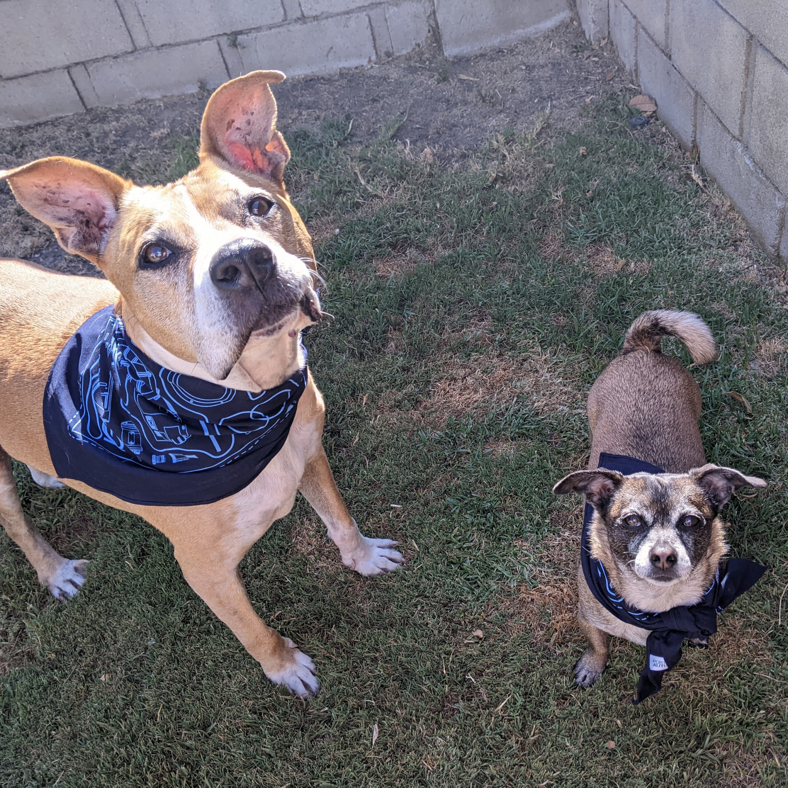 PXL_20220627_235728126