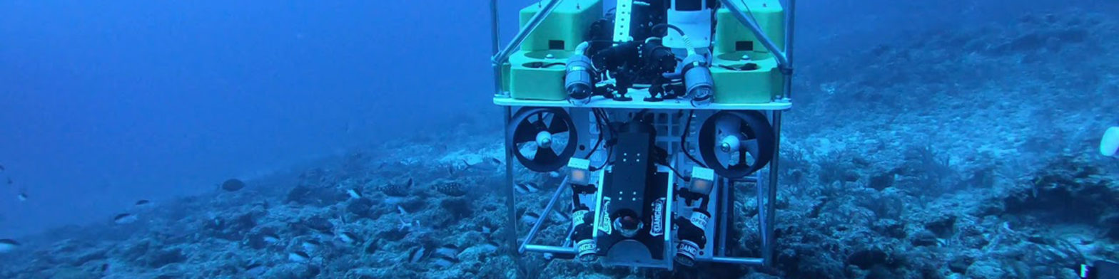 blog banner desktop image