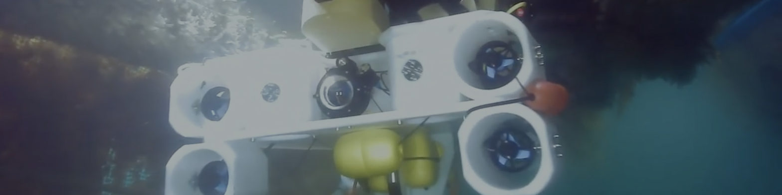 blog banner desktop image