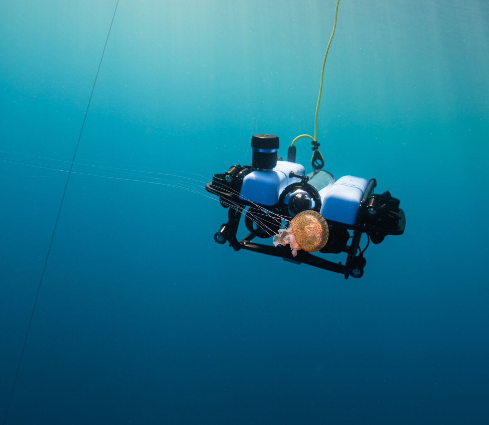 blog banner desktop image