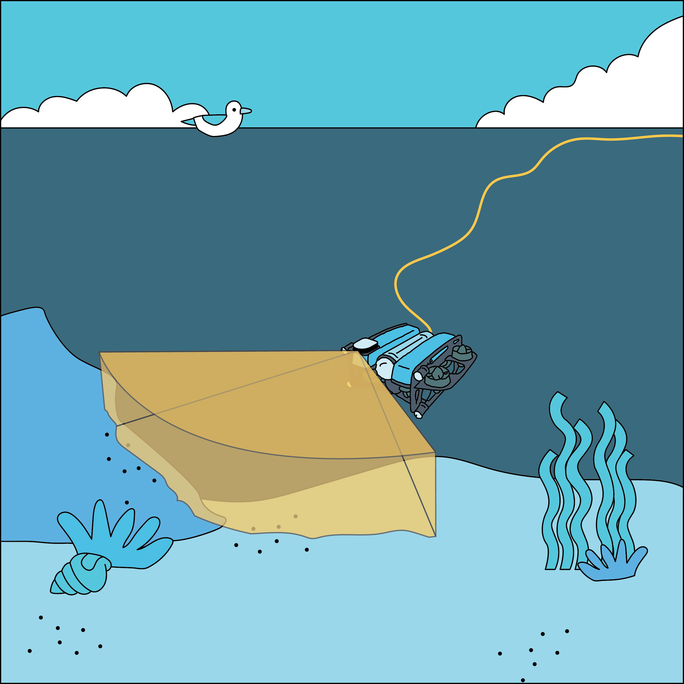 Multibeam Imaging Sonar